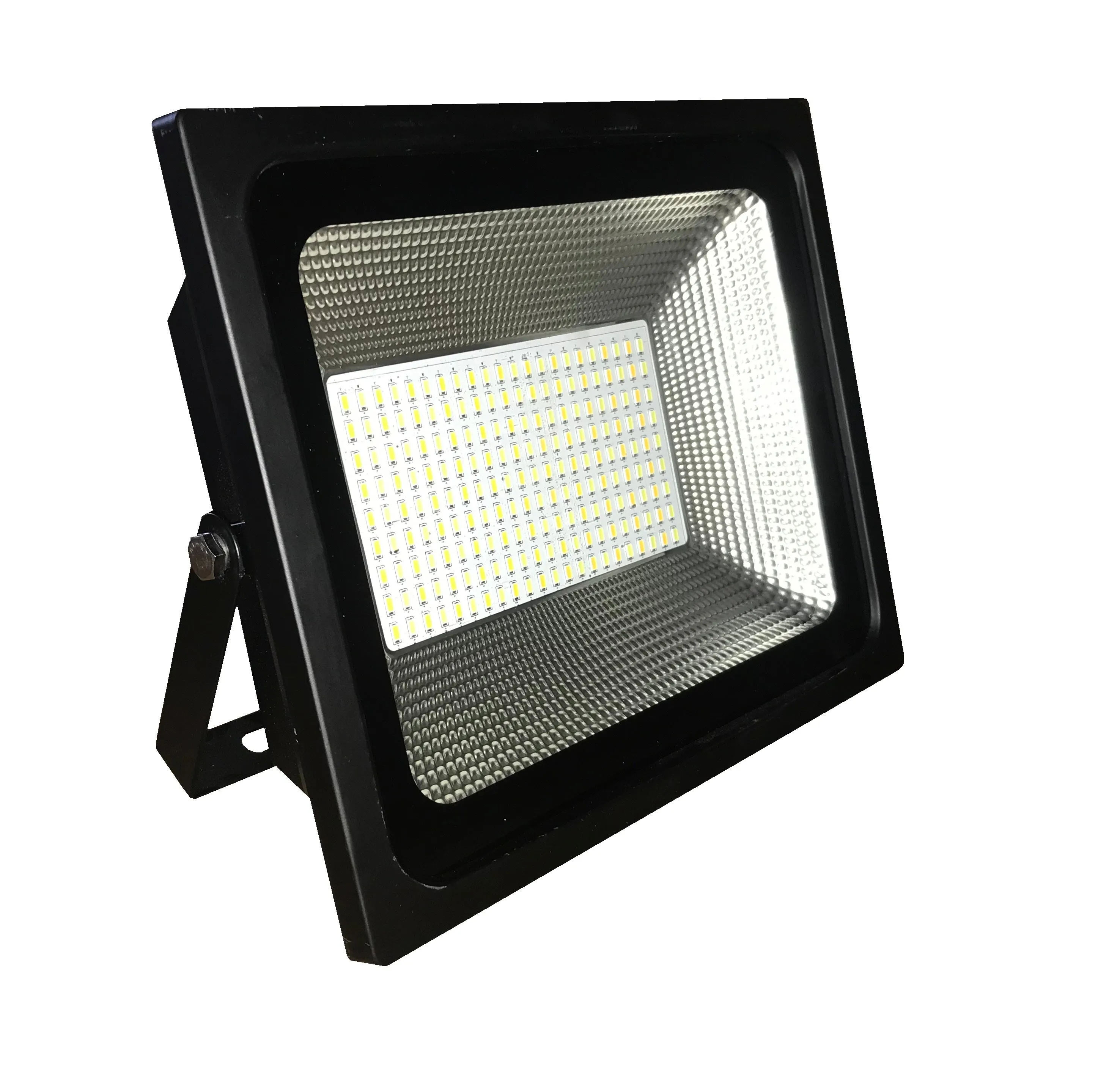 30W Dual LED Floodlight