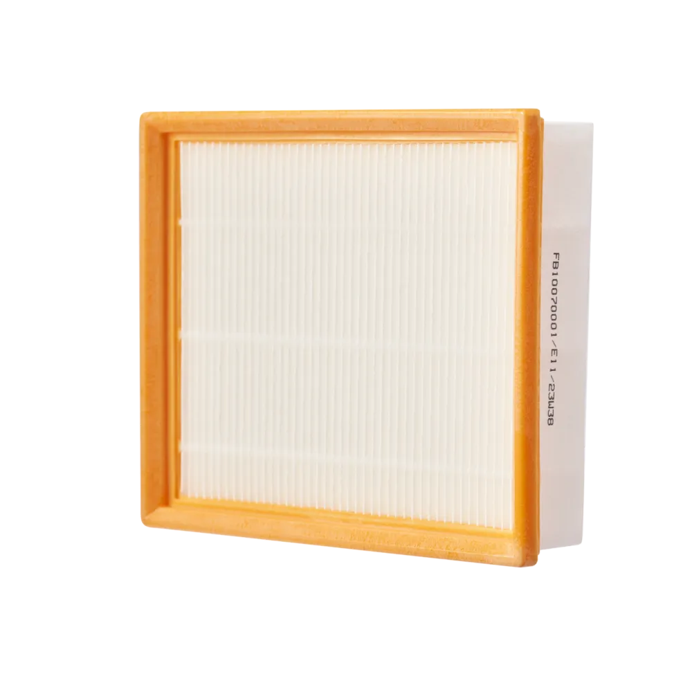 AVF0900 EGO Wet/Dry Vacuum Flat Filter