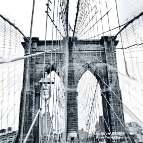 Brooklyn Bridge Cleaning Cloth