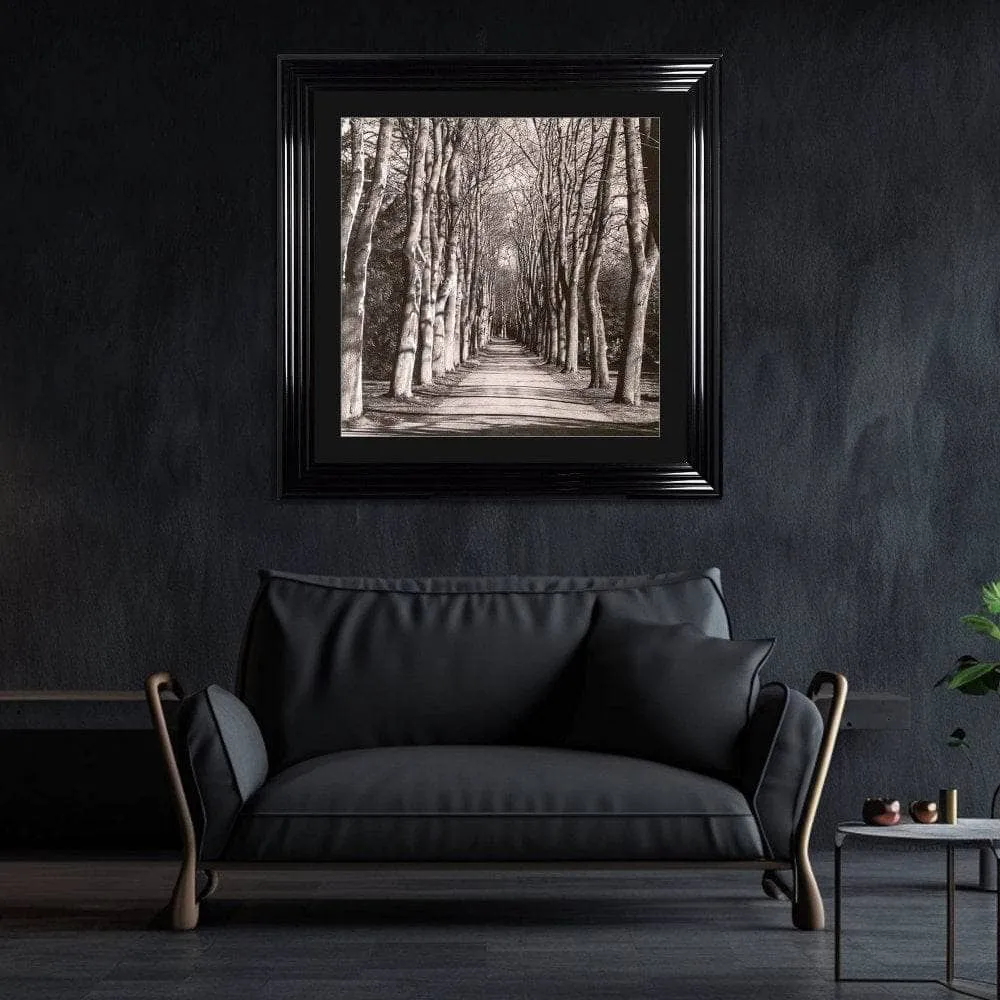 Mono Path Framed Picture