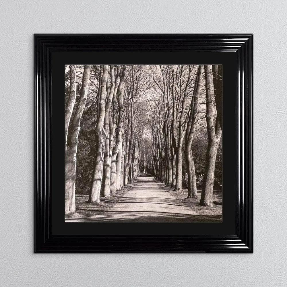 Mono Path Framed Picture