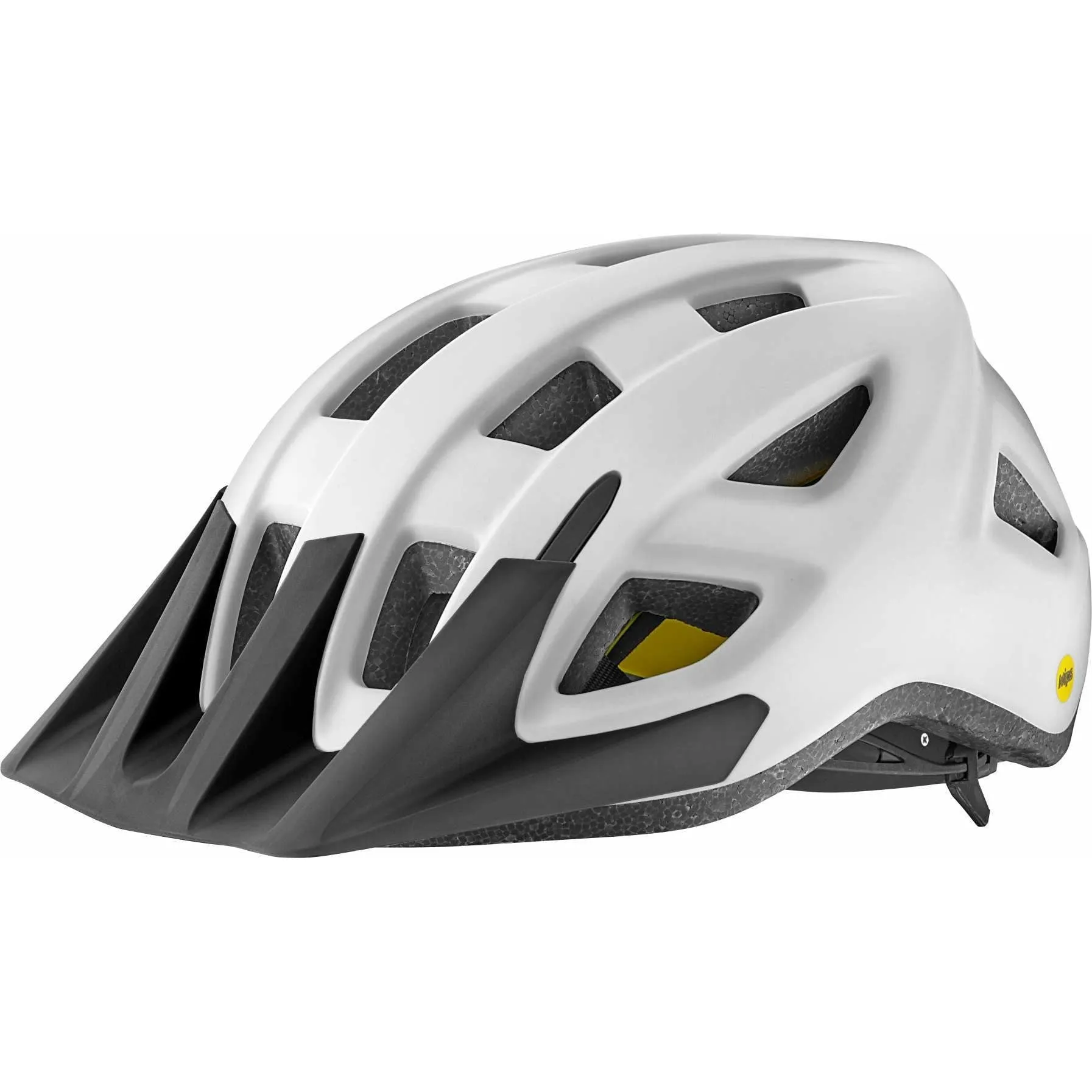 Path Bike Helmet